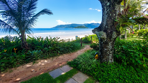 Caminho entre a vegetação tropical levando à Praia da Lagoinha